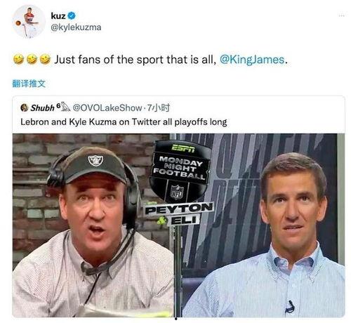 詹姆斯季后赛吃瓜图片,揭秘赛场背后的趣味瞬间