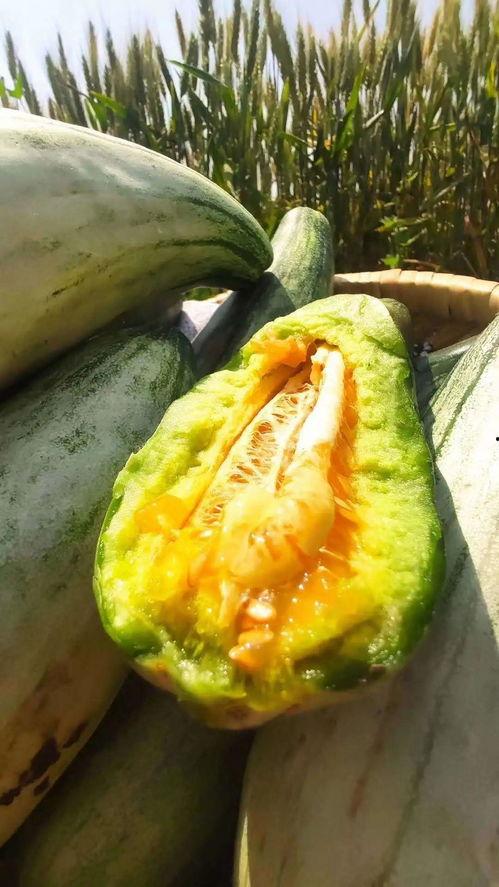 小号安静吃瓜,揭秘网络世界的幕后故事