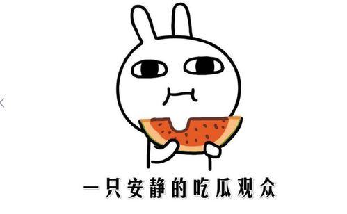 如何描写吃瓜冠军