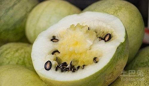 甘肃吃籽瓜,吃籽瓜，品味甘州田园风情