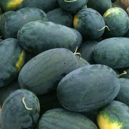 吃瓜吃到自己县,一场意外的“县花”之旅