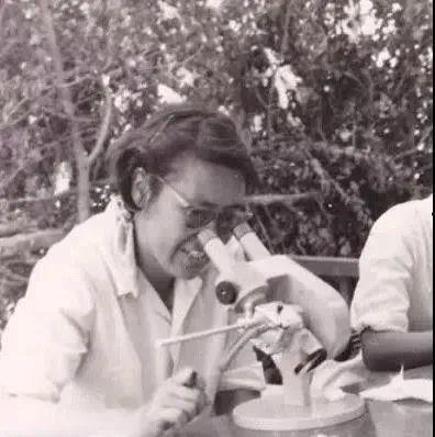 77岁吃瓜老太,揭秘晚年生活的趣味与智慧