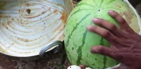 77岁吃瓜老太,揭秘晚年生活的趣味与智慧