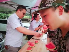 吃瓜群660436,一场全民参与的娱乐盛宴