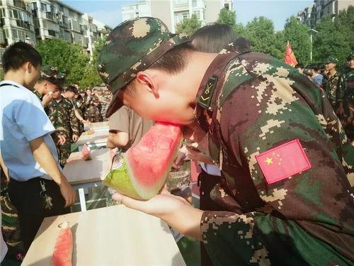 吃瓜群660436,一场全民参与的娱乐盛宴