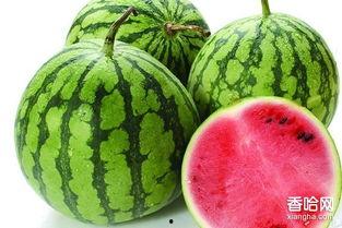 网纹瓜经期可以吃吗,适宜与否，一探究竟