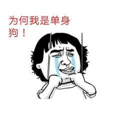 吃瓜的单身狗