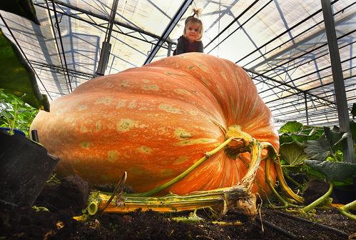 太阳塔带你吃瓜,解锁夏日美食新体验
