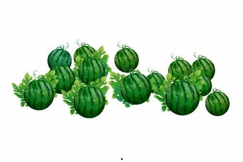 阿秦吃瓜,揭秘娱乐圈背后的那些事儿