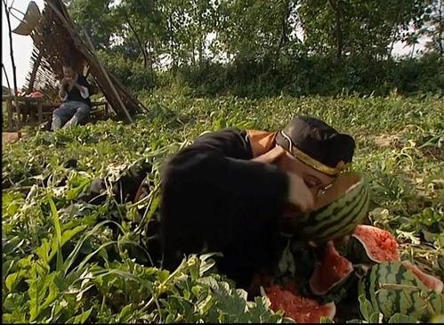 吃瓜群众属于啥类型,网络时代的旁观者与评论家