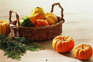 吃吊瓜容易胀气,揭秘吃吊瓜易胀气的秘密