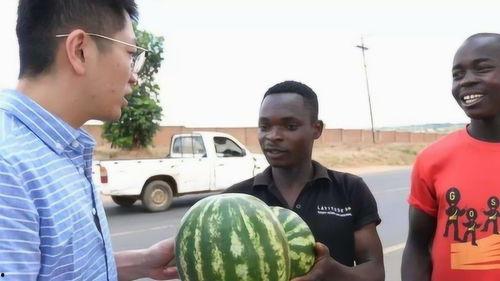 美国吃瓜新闻,揭秘明星幕后故事与惊人真相