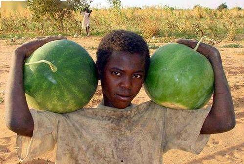 美国吃瓜新闻,揭秘明星幕后故事与惊人真相