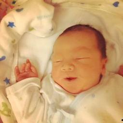 吃瓜小牛微博,“吃瓜小牛微博揭秘娱乐圈幕后故事”