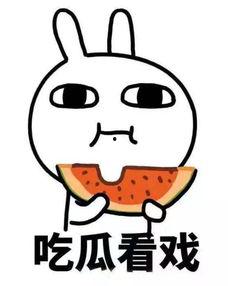 安静吃瓜开心度日,揭秘安静吃瓜的极致快乐