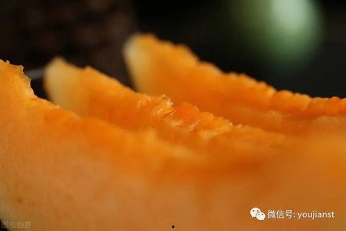 认真吃瓜样子,揭秘认真吃瓜的奥秘与乐趣