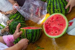 东北吃瓜的视频,揭秘东北特色美食背后的故事