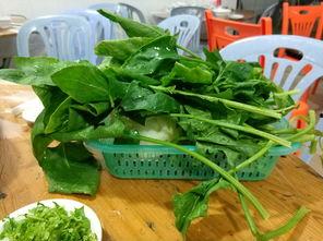 归龙潮吃瓜,揭秘神秘吃瓜背后的故事