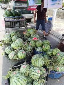 安徽定远吃瓜事件,一场网络热议背后的真相与反思