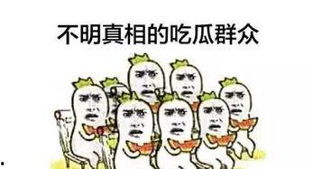 无恶意单纯吃瓜,无恶意吃瓜者的趣味观察