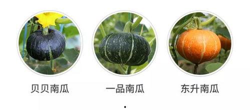 今日吃瓜新瓜,揭秘娱乐圈最新热点事件