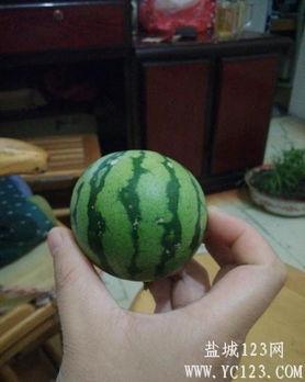 盐城吃瓜事件,一场网络舆论的风暴与反思