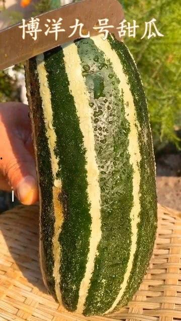 华强今天没吃瓜,静享宁静时光