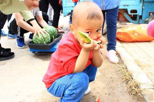 吃瓜群众日照图片,吃瓜群众的欢乐时光