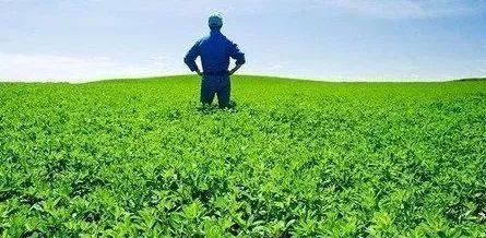 种田养老吃瓜文案,种田生活新风尚