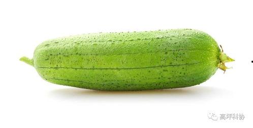 夏天吃的所有瓜,尽享清凉甜蜜时光