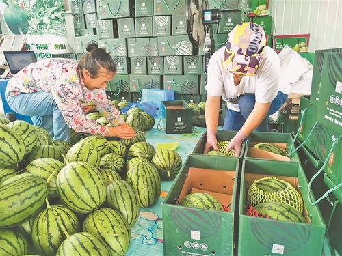 最近仁寿吃瓜事件