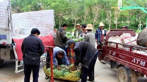 曹县729吃瓜群众,揭秘网络热点的背后故事