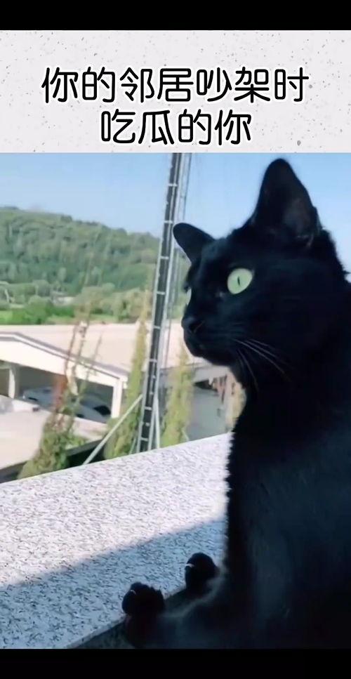 邻居吵架吃瓜视频,吃瓜群众围观吵架现场