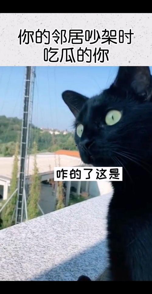 邻居吵架吃瓜视频,吃瓜群众围观吵架现场