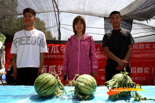 吃瓜气氛组,揭秘吃瓜气氛组的狂欢世界