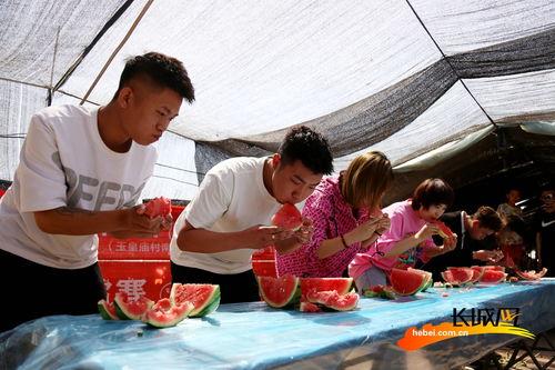 吃瓜气氛组,揭秘吃瓜气氛组的狂欢世界