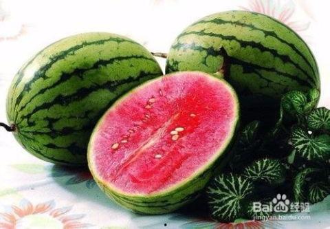 吃瓜少女与西瓜,吃瓜少女的甜蜜西瓜之旅