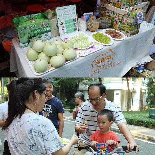 乐平雪梨瓜怎么吃,多汁美味，多样食法体验