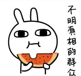 搞笑吃瓜群河南,笑料百出，欢乐无限