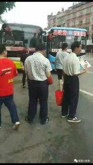 看人打架吃瓜现场,围观打架，吃瓜群众众生相