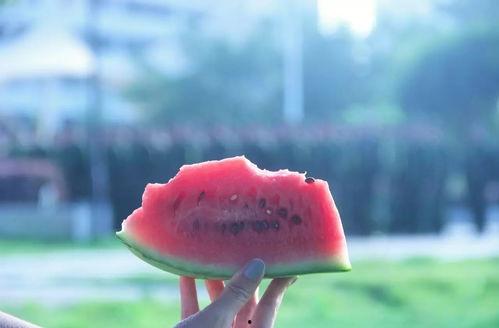 安静吃瓜图片大全