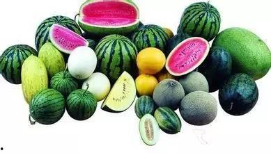 东南吃瓜,吃瓜群众的味蕾盛宴