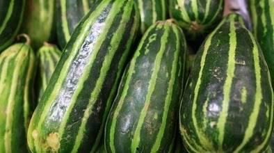 天吃很多瓜,揭秘天吃瓜王的疯狂食量