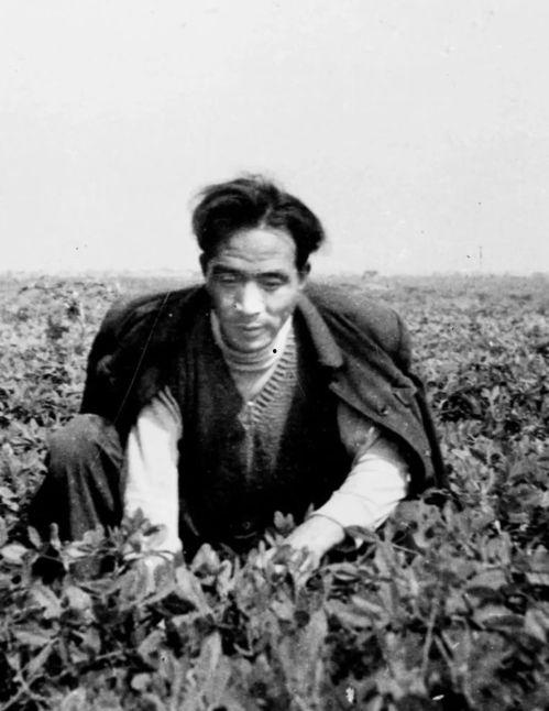 焦裕禄吃瓜,吃瓜为民情，一心为民公仆心