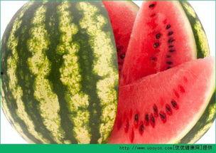 我天天吃瓜好吗