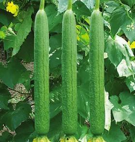 仙仙吃瓜,揭秘娱乐圈那些不为人知的幕后故事