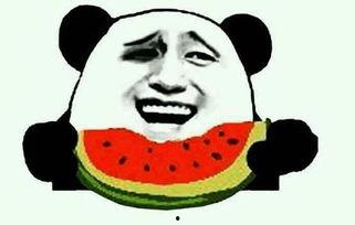 双象吃瓜最新视频,揭秘最新视频中的精彩瞬间与幕后故事