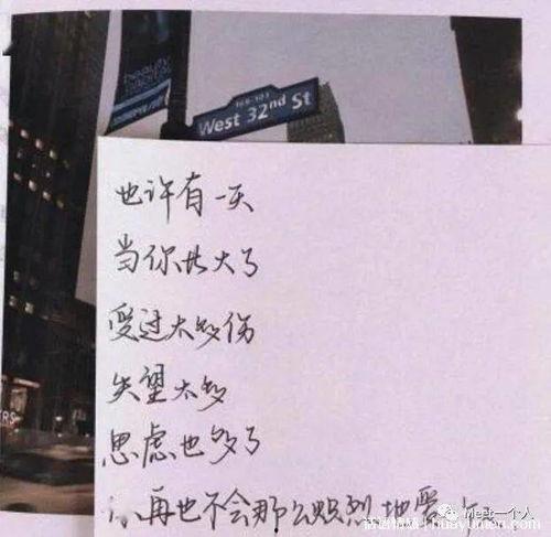 吃瓜吃的好快的文案短句,一瞬间的美味诱惑