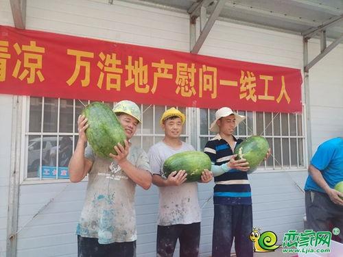 吃瓜工友,揭秘他们的生活与心声