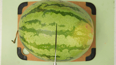 吃瓜看戏的竹子